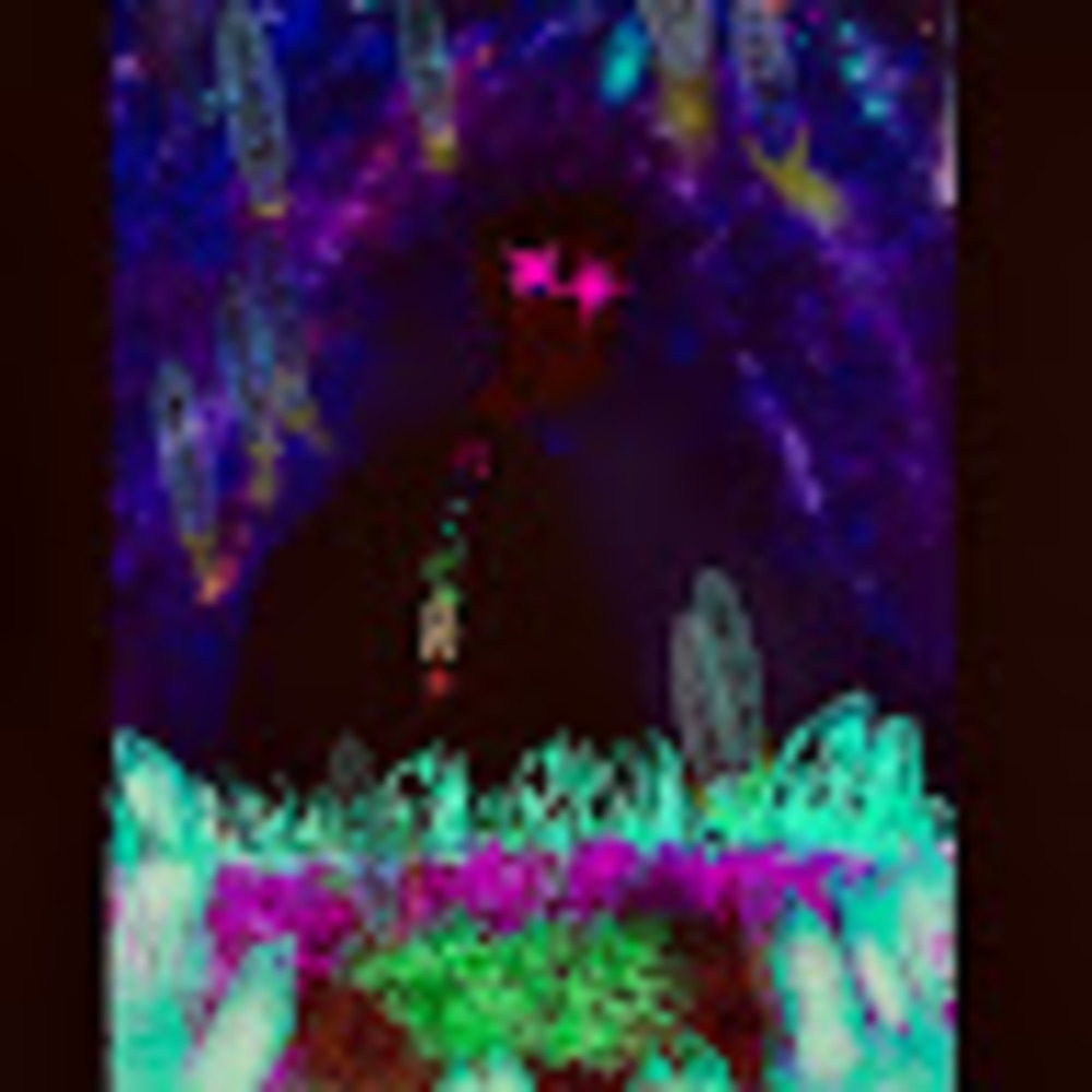 Meet your Posher, Lajess